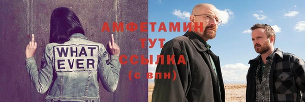 дживик Белокуриха