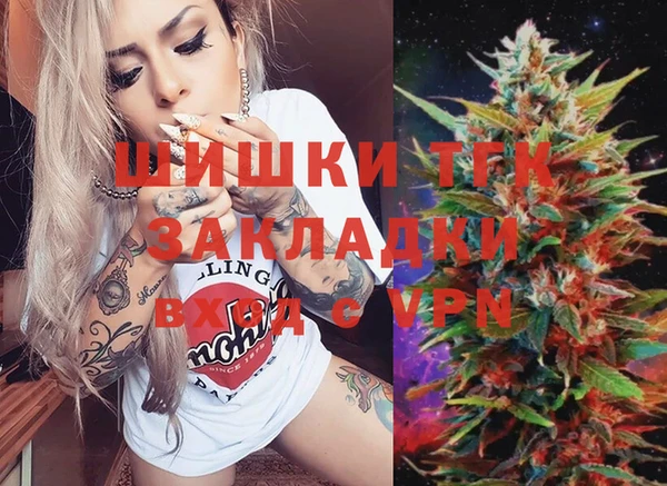 дживик Белокуриха