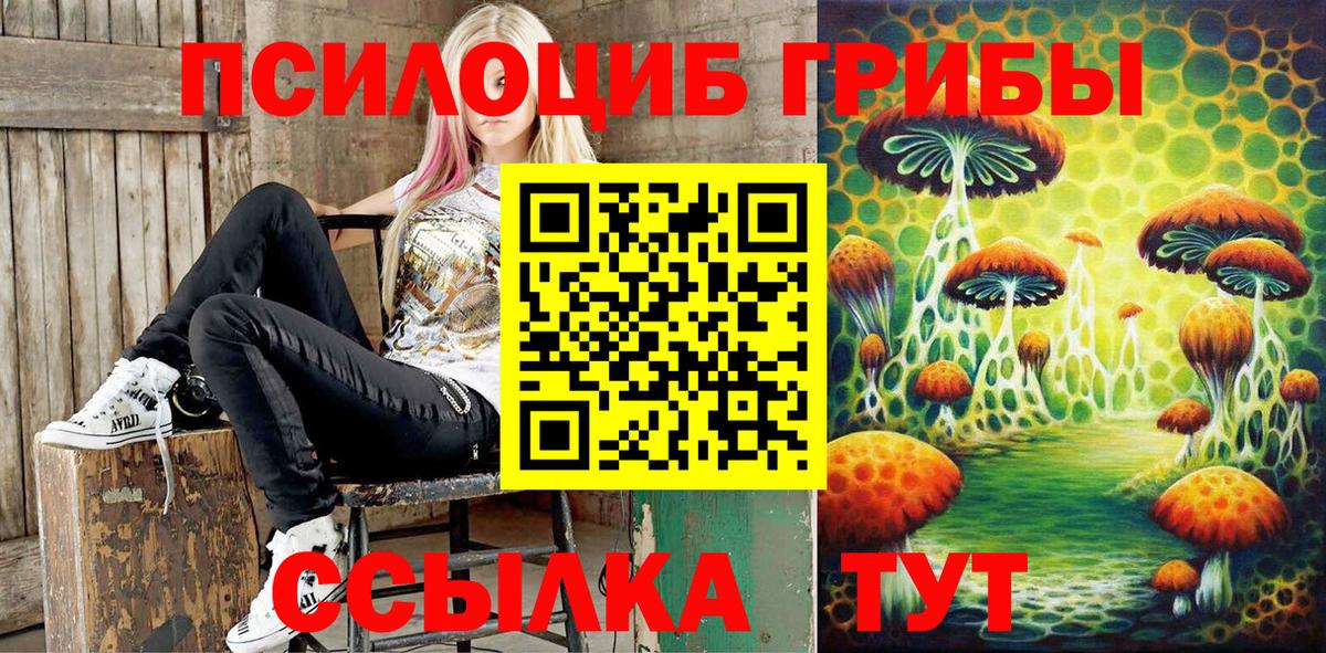 Псилоцибиновые грибы Cubensis Белорецк