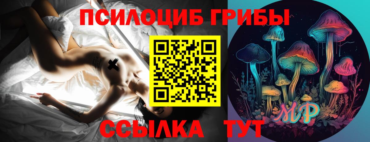 Галлюциногенные грибы прущие грибы  Вход с VPN  Белорецк 