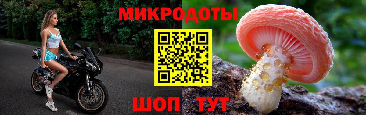 Галлюциногенные грибы мицелий Белорецк