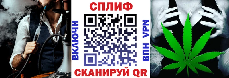 где купить   Белорецк  Канабис сатива 